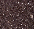 Нажмите на изображение для увеличения.

Название:	planting03.jpg
Просмотров:	291
Размер:	136.2 Кб
ID:	379579