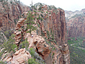 Нажмите на изображение для увеличения.

Название:	angels_landing.jpg
Просмотров:	189
Размер:	95.7 Кб
ID:	379598