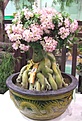 Нажмите на изображение для увеличения.

Название:	bonsai_01.jpg
Просмотров:	283
Размер:	98.7 Кб
ID:	379618