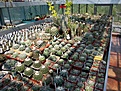 Нажмите на изображение для увеличения.

Название:	1.05.06-6.jpg
Просмотров:	199
Размер:	95.3 Кб
ID:	379635