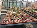 Нажмите на изображение для увеличения.

Название:	1.05.06-11.jpg
Просмотров:	196
Размер:	92.8 Кб
ID:	379659