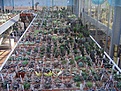 Нажмите на изображение для увеличения.

Название:	30.jpg
Просмотров:	157
Размер:	77.8 Кб
ID:	379825