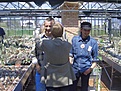 Нажмите на изображение для увеличения.

Название:	CIMG3175.JPG
Просмотров:	160
Размер:	69.1 Кб
ID:	379896
