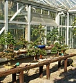 Нажмите на изображение для увеличения.

Название:	grugapark 026.jpg
Просмотров:	205
Размер:	66.4 Кб
ID:	380279