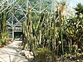 Нажмите на изображение для увеличения.

Название:	grugapark 031.jpg
Просмотров:	193
Размер:	137.5 Кб
ID:	380281