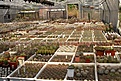 Нажмите на изображение для увеличения.

Название:	2010.JPG
Просмотров:	431
Размер:	111.6 Кб
ID:	380358