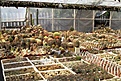 Нажмите на изображение для увеличения.

Название:	2011.JPG
Просмотров:	459
Размер:	118.8 Кб
ID:	380359
