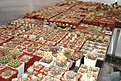 Нажмите на изображение для увеличения.

Название:	Teplica008.jpg
Просмотров:	417
Размер:	49.2 Кб
ID:	380976
