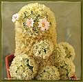 Нажмите на изображение для увеличения.

Название:	Mammillaria carmenae20070127_1a.jpg
Просмотров:	123
Размер:	59.5 Кб
ID:	381049