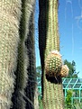 Нажмите на изображение для увеличения.

Название:	DSCN2758.jpg
Просмотров:	611
Размер:	45.8 Кб
ID:	381650