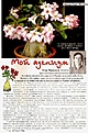 Нажмите на изображение для увеличения.

Название:	Mijn-Adenium.jpg
Просмотров:	177
Размер:	102.9 Кб
ID:	381761