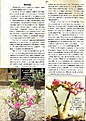 Нажмите на изображение для увеличения.

Название:	Mijn-Adenium-001.jpg
Просмотров:	249
Размер:	109.1 Кб
ID:	381762