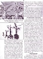 Нажмите на изображение для увеличения.

Название:	003.jpg
Просмотров:	213
Размер:	100.4 Кб
ID:	381767