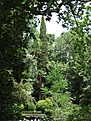 Нажмите на изображение для увеличения.

Название:	0145-DSCF0142.jpg
Просмотров:	343
Размер:	147.8 Кб
ID:	381839