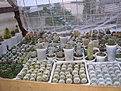 Нажмите на изображение для увеличения.

Название:	P1010137.jpg
Просмотров:	250
Размер:	91.2 Кб
ID:	382289