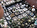 Нажмите на изображение для увеличения.

Название:	P1010146.jpg
Просмотров:	245
Размер:	118.2 Кб
ID:	382298