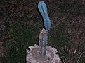 Нажмите на изображение для увеличения.

Название:	P1010008.jpg
Просмотров:	211
Размер:	79.5 Кб
ID:	382308