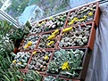Нажмите на изображение для увеличения.

Название:	P1030937__.jpg
Просмотров:	192
Размер:	65.2 Кб
ID:	382448