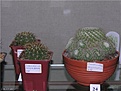Нажмите на изображение для увеличения.

Название:	aa2bce759b12.jpg
Просмотров:	184
Размер:	51.2 Кб
ID:	382521
