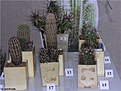 Нажмите на изображение для увеличения.

Название:	abf3ba02f186.jpg
Просмотров:	180
Размер:	60.8 Кб
ID:	382522