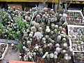 Нажмите на изображение для увеличения.

Название:	P1010153.jpg
Просмотров:	251
Размер:	119.2 Кб
ID:	382734