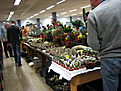 Нажмите на изображение для увеличения.

Название:	osnabrck20070929002oz4.jpg
Просмотров:	157
Размер:	90.7 Кб
ID:	382797