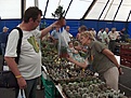Нажмите на изображение для увеличения.

Название:	HPIM6754.jpg
Просмотров:	165
Размер:	93.5 Кб
ID:	382802