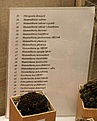 Нажмите на изображение для увеличения.

Название:	DSC_7343.JPG
Просмотров:	148
Размер:	128.2 Кб
ID:	383030
