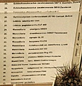 Нажмите на изображение для увеличения.

Название:	DSC_7429.JPG
Просмотров:	165
Размер:	116.8 Кб
ID:	383235