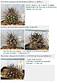 Нажмите на изображение для увеличения.

Название:	Answ2.jpg
Просмотров:	325
Размер:	99.8 Кб
ID:	383870
