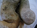Нажмите на изображение для увеличения.

Название:	Caudex-2.JPG
Просмотров:	182
Размер:	68.7 Кб
ID:	384282