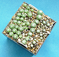 Нажмите на изображение для увеличения.

Название:	1_year_seedlings.jpg
Просмотров:	322
Размер:	195.4 Кб
ID:	384662