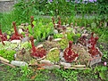 Нажмите на изображение для увеличения.

Название:	6DSCN6807.JPG
Просмотров:	248
Размер:	166.0 Кб
ID:	384764