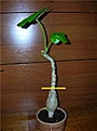 Нажмите на изображение для увеличения.

Название:	Jatropha.JPG
Просмотров:	167
Размер:	25.4 Кб
ID:	384792