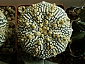 Нажмите на изображение для увеличения.

Название:	P3130811.JPG
Просмотров:	956
Размер:	96.6 Кб
ID:	385522