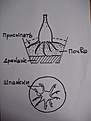 Нажмите на изображение для увеличения.

Название:	angela 01.jpg
Просмотров:	181
Размер:	164.0 Кб
ID:	385625