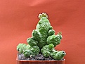 Нажмите на изображение для увеличения.

Название:	pseudolithos caput-viperae.bmp1.jpg
Просмотров:	170
Размер:	27.2 Кб
ID:	385921