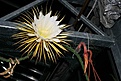 Нажмите на изображение для увеличения.

Название:	IMG_2624.JPG
Просмотров:	227
Размер:	77.6 Кб
ID:	386200