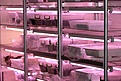 Нажмите на изображение для увеличения.

Название:	mini greenhouse.jpg
Просмотров:	249
Размер:	108.2 Кб
ID:	386649