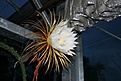 Нажмите на изображение для увеличения.

Название:	IMG_2588.JPG
Просмотров:	252
Размер:	65.2 Кб
ID:	386724