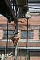 Нажмите на изображение для увеличения.

Название:	IMG_2553.JPG
Просмотров:	252
Размер:	87.6 Кб
ID:	386728