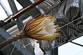 Нажмите на изображение для увеличения.

Название:	IMG_2578.JPG
Просмотров:	251
Размер:	53.2 Кб
ID:	386731