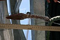 Нажмите на изображение для увеличения.

Название:	IMG_2533.JPG
Просмотров:	247
Размер:	54.2 Кб
ID:	386740