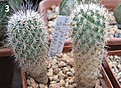 03_image_272035.jpg