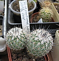 02_image_272037.jpg