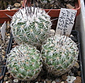 04_image_272038.jpg