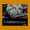 Нажмите на изображение для увеличения.

Название:	l-kunte-j-snicer-2019-genus-aztekium-english-version.jpg
Просмотров:	927
Размер:	124.2 Кб
ID:	462124