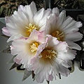 Нажмите на изображение для увеличения.

Название:	IMG_8442.JPG
Просмотров:	563
Размер:	52.5 Кб
ID:	467767