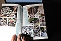 Нажмите на изображение для увеличения.

Название:	IMG_0926.JPG
Просмотров:	628
Размер:	142.7 Кб
ID:	467862