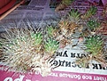 Нажмите на изображение для увеличения.

Название:	IMG_20200524_114233.jpg
Просмотров:	548
Размер:	277.6 Кб
ID:	472068